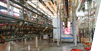 ACOPERIRE CU PULBERE