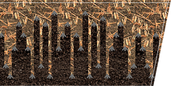 DISPUNEREA ORIGINALĂ A ORGANELOR DE LUCRU